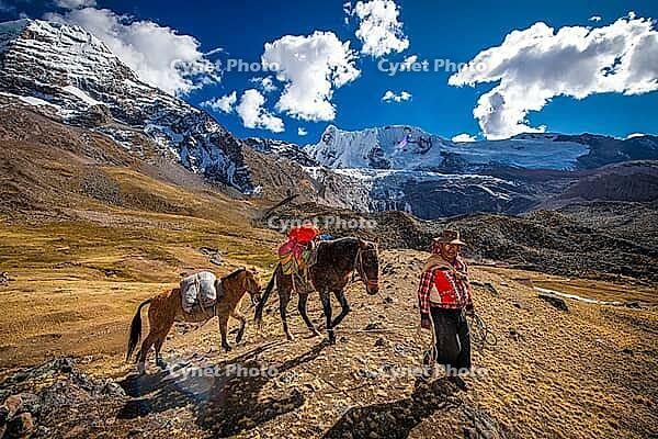 Indigenous guides with packhorses in front of the summit of Ausangate (Spanish) or Awsangati (Quechua) 6384 m, Ausangate Trek, Cordillera Vilcanota, Peru [IBR124036461]