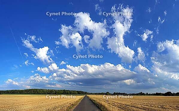 Dirt road with clouds [IBR124051654]