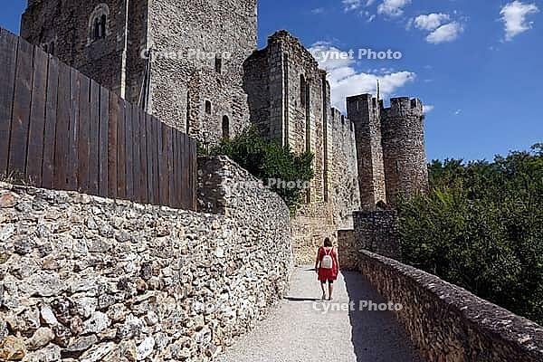 Fortresse de Montbazon [IBR124051656]