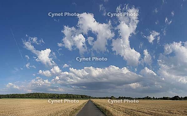 Dirt road with clouds [IBR124051657]