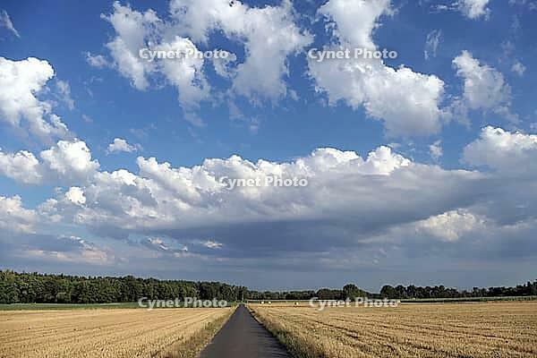 Feldweg [IBR124051660]