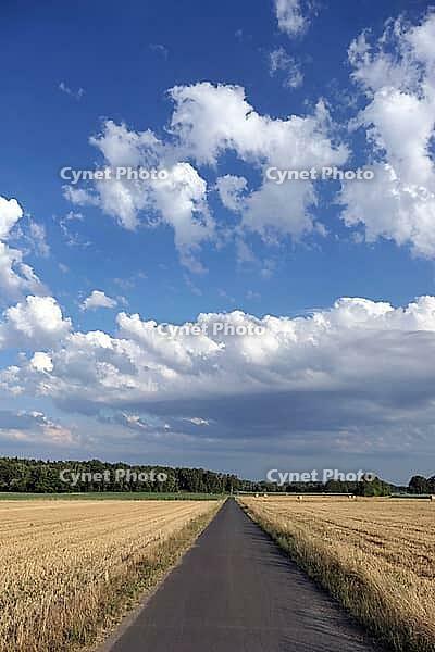 Feldweg [IBR124051661]
