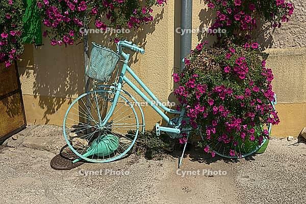 Bicycle with floral decoration [IBR124051669]