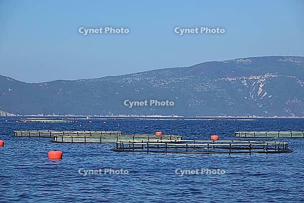 Fish farming near Krk [IBR124051674]