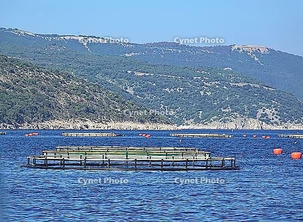 Fish farming near Krk [IBR124051675]