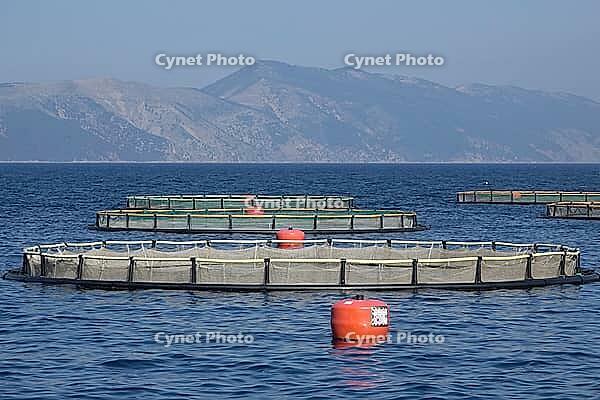Fish farming in the sea [IBR124051678]