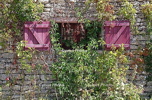 Window on Ile de Ré [IBR124051691]