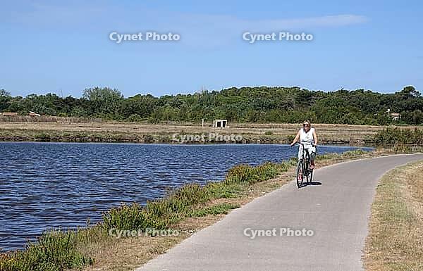 Cycling on the Ile de Re [IBR124051697]
