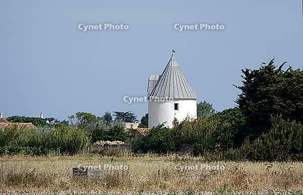 Former windmill on Ile de Re [IBR124051699]