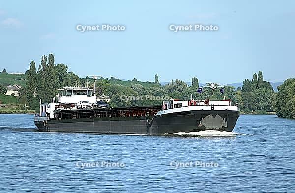 Cargo ship on the Rhine [IBR124051703]