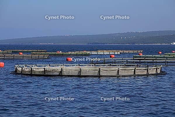 Fish farming in the sea [IBR124051748]