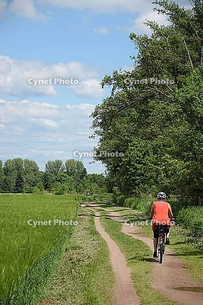 Cycling near Münster, Hesse [IBR124072687]
