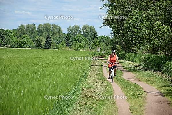 Cycling near Münster, Hesse [IBR124072689]