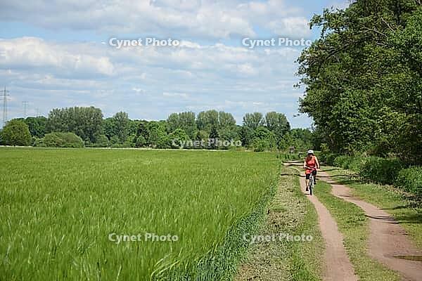 Cycling near Münster, Hesse [IBR124072690]