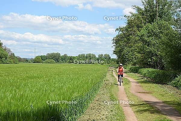 Cycling near Münster, Hesse [IBR124072692]