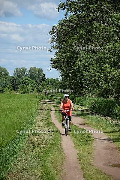Cycling near Münster, Hesse [IBR124072694]