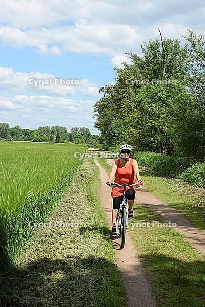 Cycling near Münster, Hesse [IBR124072696]