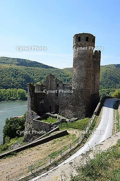 Ehrenfels Castle on the Rhine [IBR124072716]
