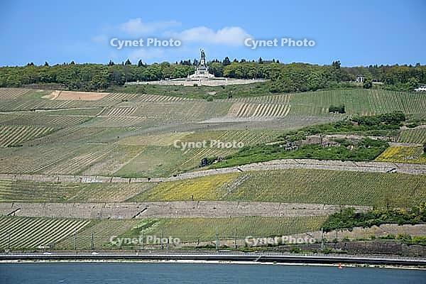 Niederwald Memorial [IBR124072720]