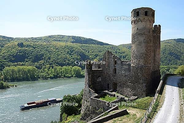 Ehrenfels Castle on the Rhine [IBR124072721]
