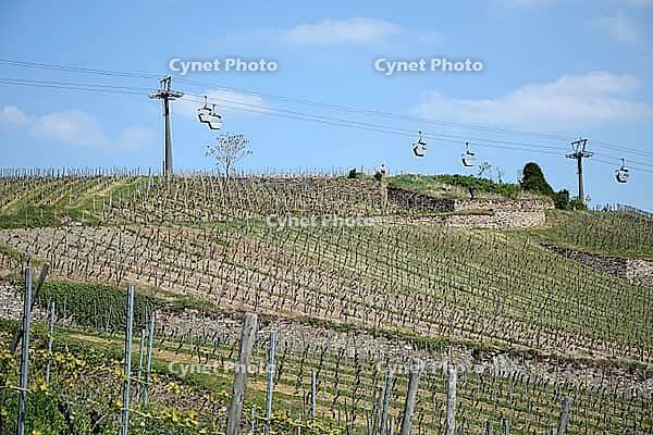 Cable car near Rüdesheim [IBR124072731]