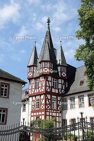 Ruedesheimer Adelshöfe [IBR124072738]