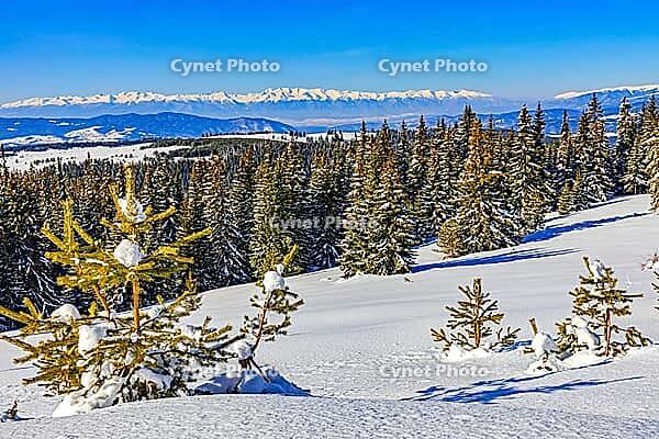 Amazing sunrise in Belmeken, Rila Mountains, Bulgaria [IBR124083577]