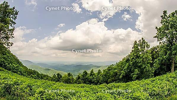 Blue ridge parkway in west virginia [IBR124083581]