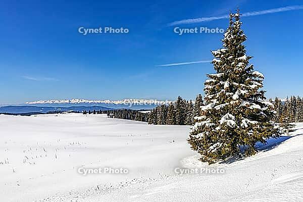 Amazing sunrise in Belmeken, Rila Mountains, Bulgaria [IBR124083611]