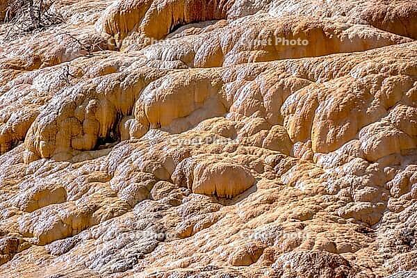 Travertine Terraces, Mammoth Hot Springs, Yellowstone [IBR124083631]
