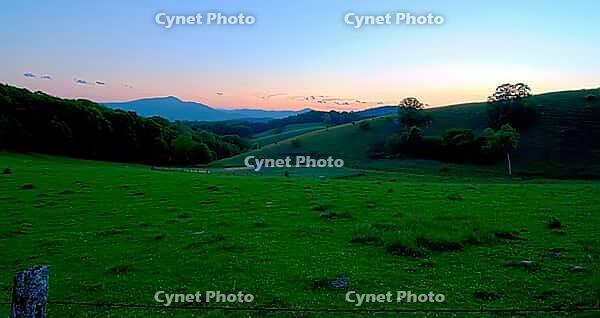 Early morning nature on blue ridge parkway [IBR124083664]