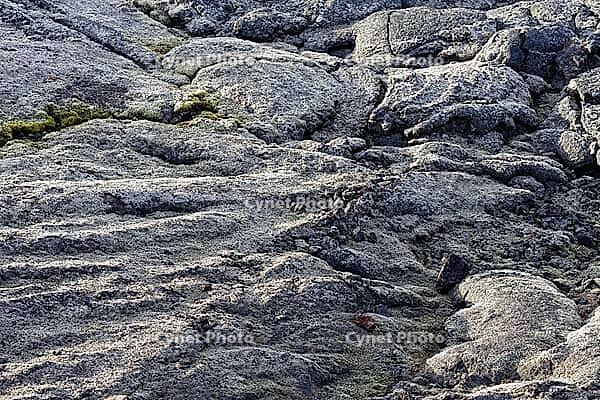 Mountain slope covered with mosses, near Lake Myvatn, northeast Iceland, Iceland [IBR124192753]