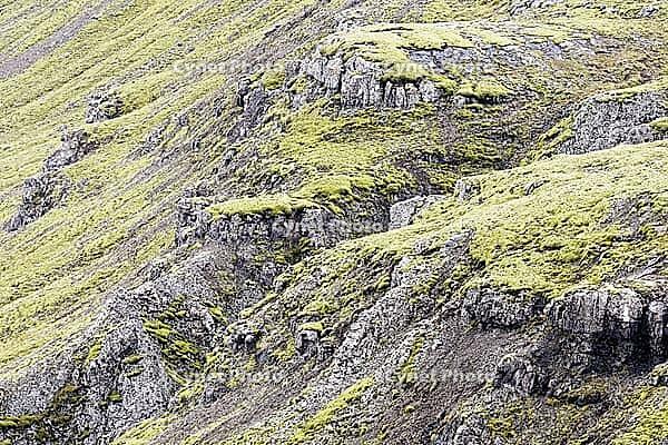 Mountain slope covered with mosses, near Lake Myvatn, northeast Iceland, Iceland [IBR124192759]