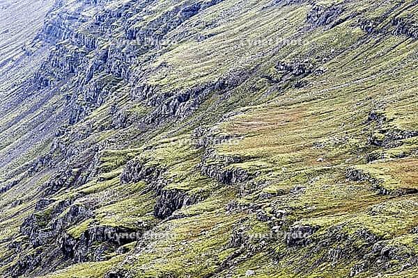 Mountain slope covered with mosses, near Lake Myvatn, northeast Iceland, Iceland [IBR124192767]