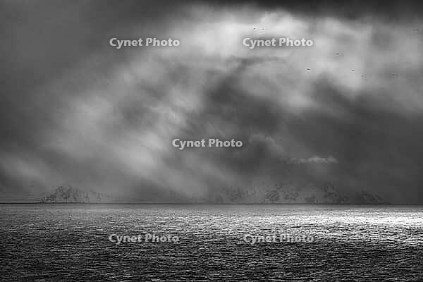 Dramatic lighting over the Norwegian European Sea, Söröya, Finnmark, Norway, March 2019 [IBR124200493]