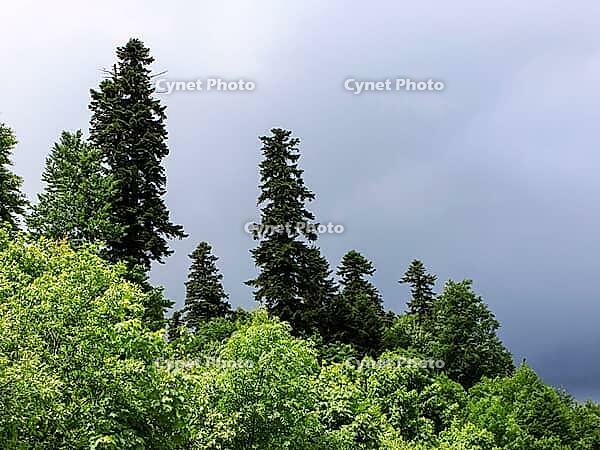 Landscape. Beautiful types of the nature in the photo [IBR124200551]