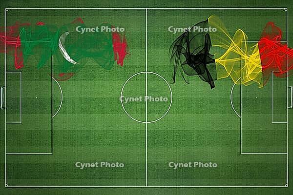 Maldives vs Belgium Soccer Match, national colors, national flags, soccer field, football game, Competition concept, Copy space [IBR124240971]