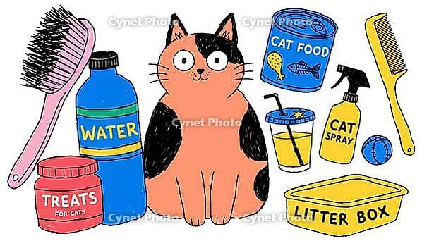 Adorable hand-drawn cat sits among colorful pet supplies and cat care items including food, treats, water, brush, comb, litter box and toys image for pet projects. ai generated [IBR124458863]