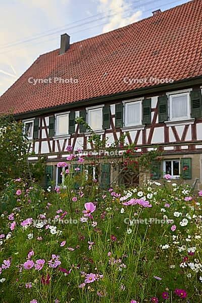 Pfarrer-Mayer House in Altenhausen, Schwäbisch Hall, Farmhouse, Hohenlohe, Germany [IBR124469145]