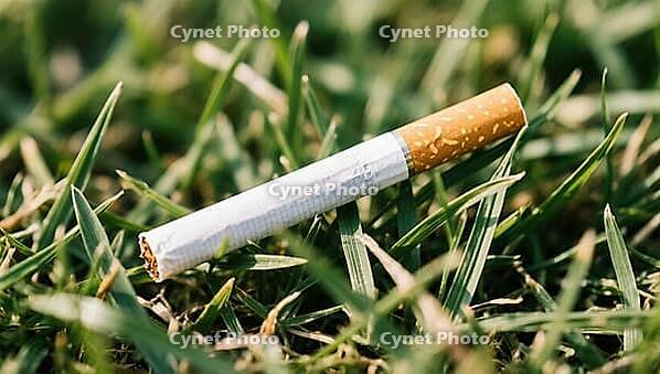 A cigarette is lying in the grass outdoors, health hazard due to smoking, symbolic image, AI generated [IBR124494074]