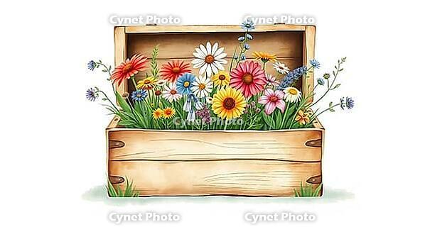 Wooden box full of colorful flowers, natural and rustic atmosphere, vivid, nostalgic watercolor painting with pastel flowers on a white background, in rustic style, AI generated [IBR124494082]