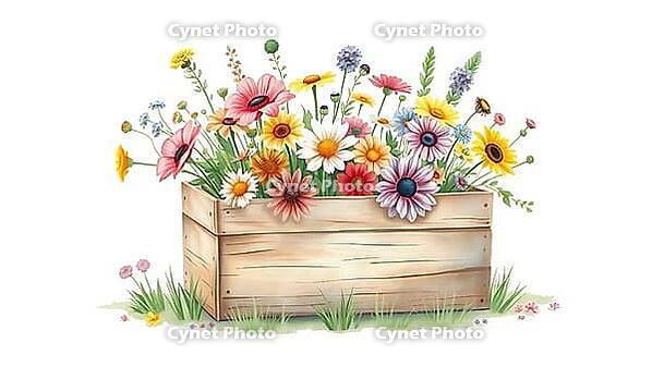Wild flowers in a wooden box, cheerful atmosphere, lively colorful display, nostalgic watercolor painting with pastel flowers on a white background, in rustic style, AI generated [IBR124494102]