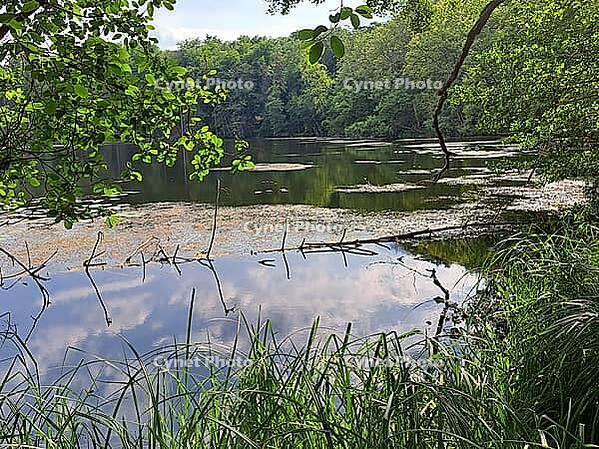 Böbereckensee on the Rheinsberg Lake District, Rheinsberg, Brandenburg, Germany [IBR124494884]