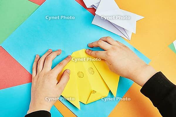 Boy hands making origami dog with colorful paper sheets, Child creative education [IBR124497459]