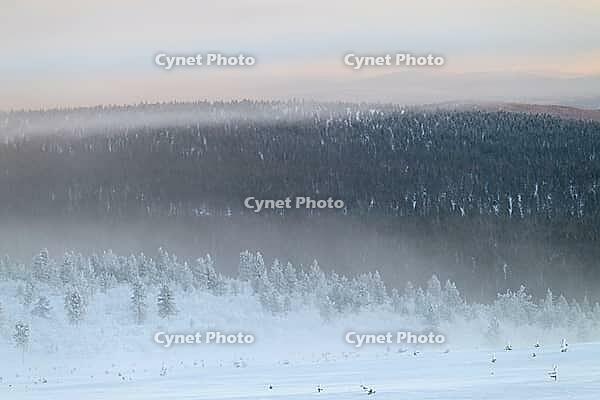 Foggy atmosphere over forested mountain ranges, Saariselkä, Lapland, Finland, January 2025 [IBR124508485]