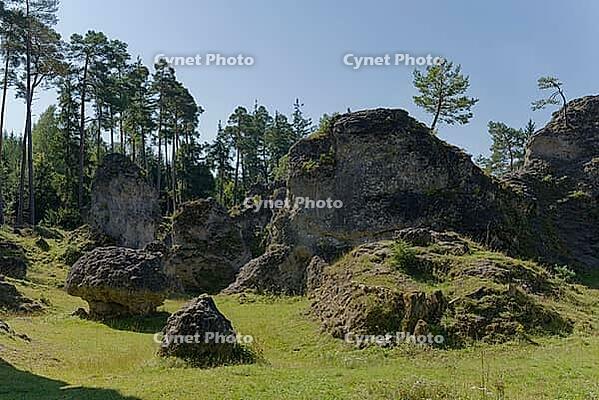 Wental, Trockental, Steinheim am Albuch, karst plateau, Swabian Jura, Heidenheim an der Brenz, rocks, nature reserve, Germany [IBR124508542]