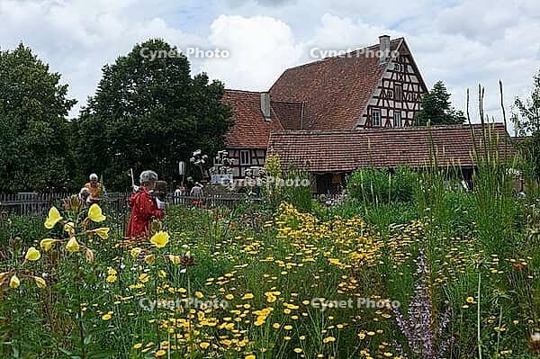 Bauerngärtchen im Hohenloher open-air museum, Wackershofen, Farmermuseum, Herb Garden, Herbs, Swabian-Franconian Forest nature park Park, Schwäbisch Hall, Hohenlohe, Germany [IBR124508551]