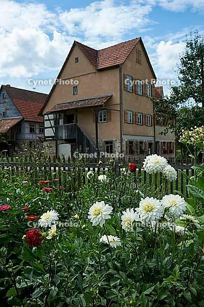 Bauerngärtchen im Hohenloher open-air museum, Wackershofen, Farmermuseum, herb garden, dahlia, zinnia, garden, herbs, Swabian-Franconian Forest nature park Park, Schwäbisch Hall, Hohenlohe, Germany [IBR124508552]