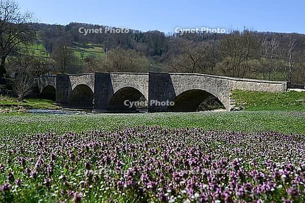 Old stone bridge in Oberregenbach, Langenburg an der Jagst, bridge, Jagsttal, Hohenlohe, Germany [IBR124508566]