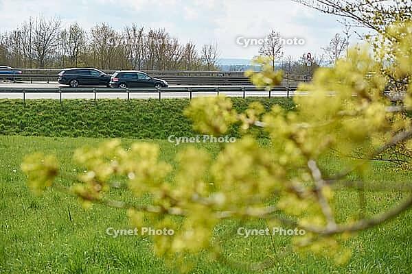 Kocher valley bridge, motorway bridge, bridge, motorway, Kocher valley, Kocher, spring, maple (Acer), maple blossom, Braunsbach, Hohenlohe, Germany [IBR124508575]